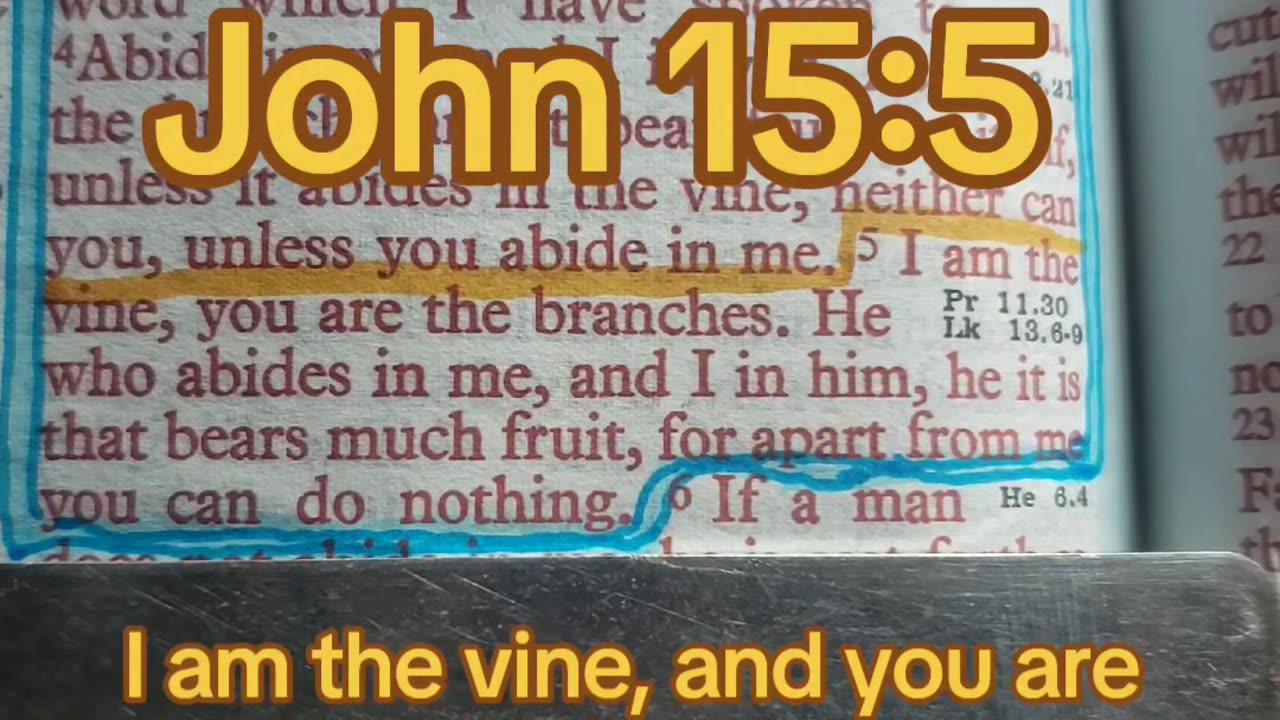 I Am The Vine, You Are The Branches..