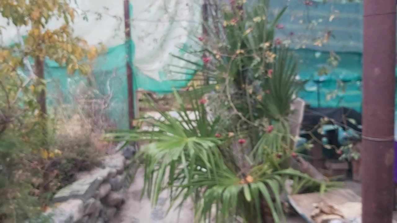Fui invitado, nunca me abdujeron contra mi voluntad. Parte 1