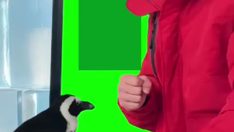 MrBeast is the GOAT of YouTube – Here’s Why 🐐”