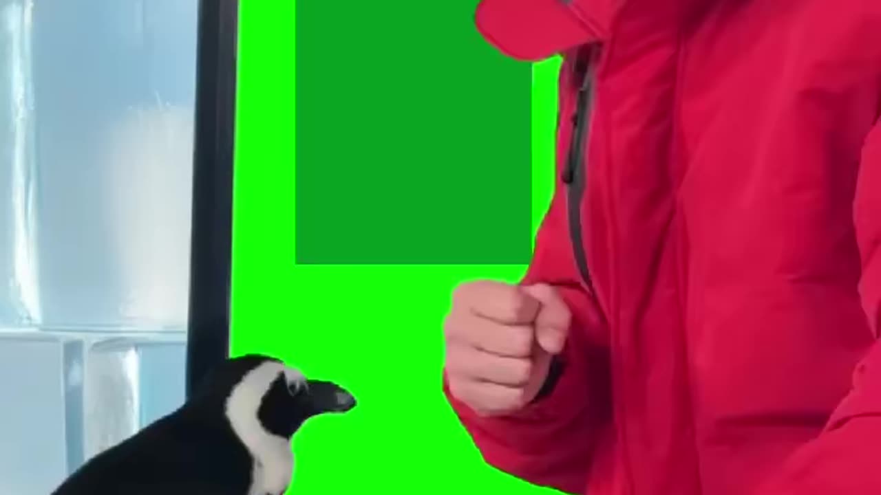 MrBeast is the GOAT of YouTube – Here’s Why 🐐”