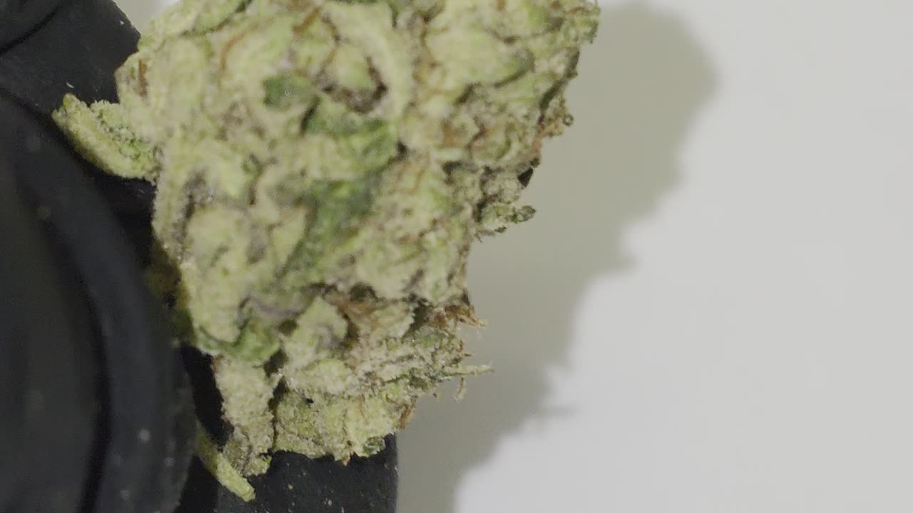 LEMON RUNTS THC FLOWER