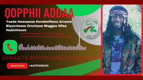 Qopii Addaa ONM-ABO Waxaabajjii 10-2025 itti dhiyaadhaa!