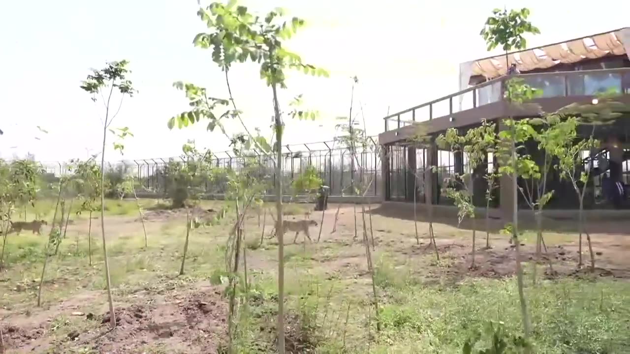 PM Modi inaugurates Vantara in Jamnagar, Gujarat