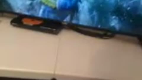 VID_0598