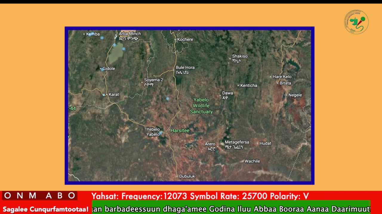 Oduu Waaree ONM-ABO Fulbaana 11-2025 itti dhiyaadhaa!