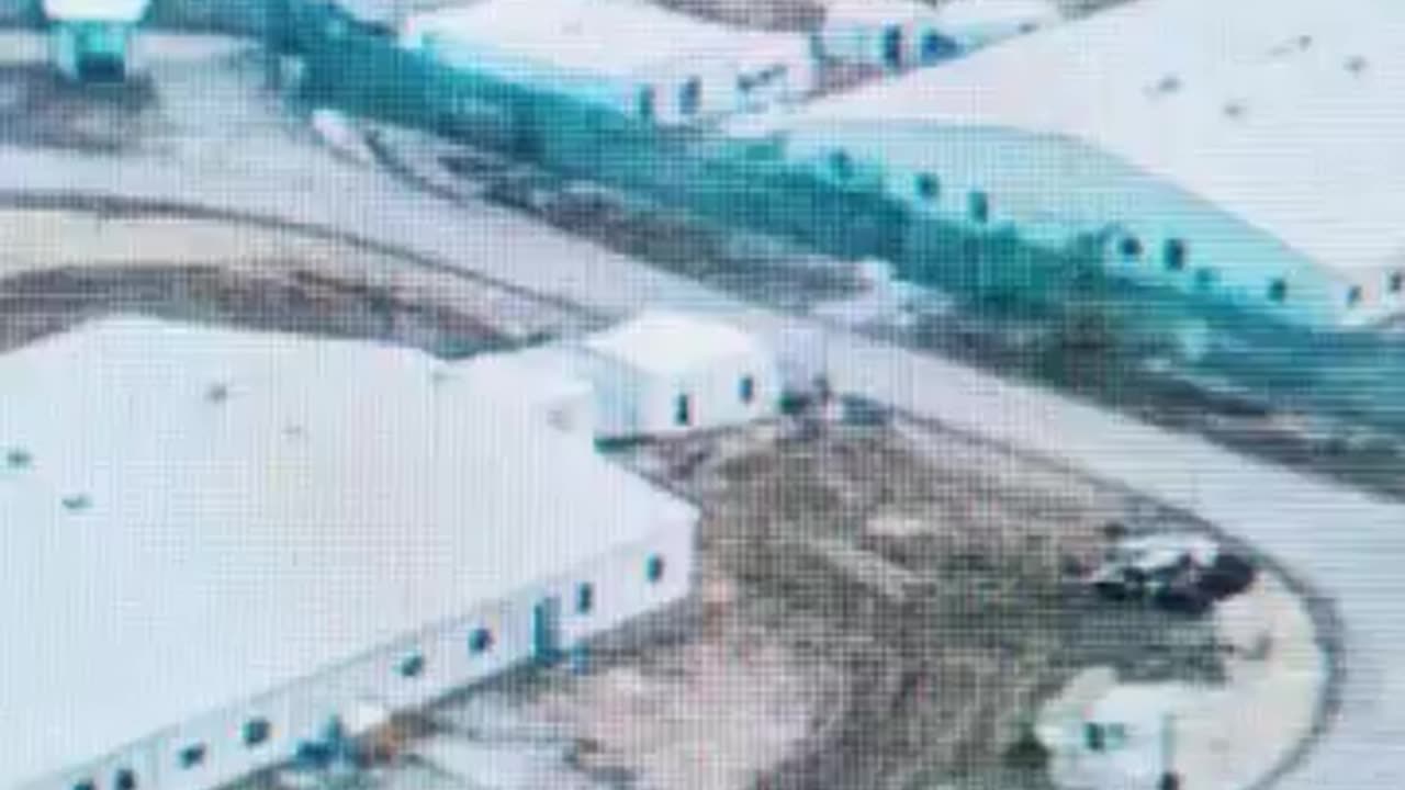 FED TO GATORS! F1 visa students and H1B Visa workers "accidentally" sent to Alligator Alcatraz