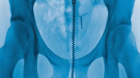 On Virgin, Lorde has never been less certain or more alive