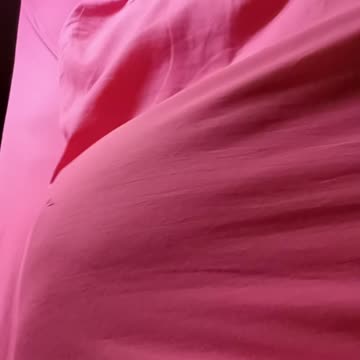 Where did the ferret go?