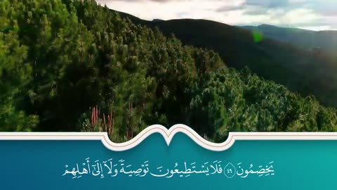 سور الرزق والبركة سورة يس - الرحمن - الواقعة - الملك بصوت الشيخ سعد الغامدي