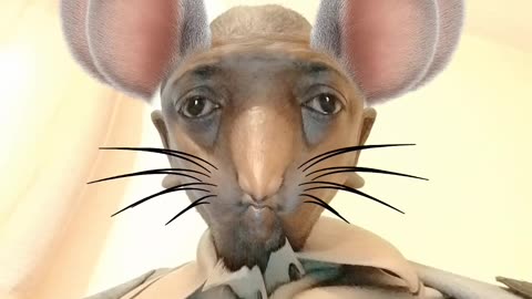 Rat mask