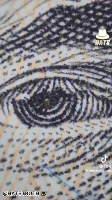 US DOLAR UNDER THE MIKROSKOPE