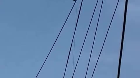 Footage of the evacuation from the Nepalese parliament building