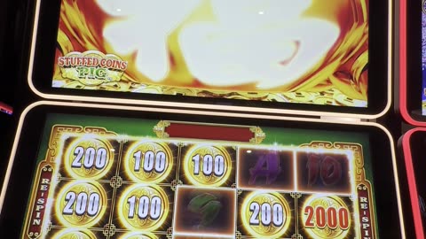 Golden Pig Bonus 🐷🎰🎊