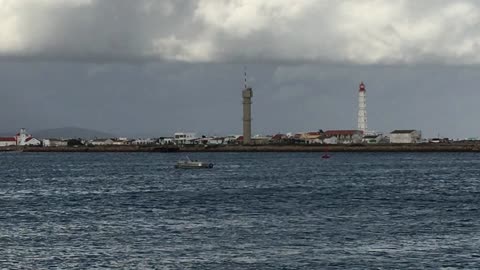 Boat Tour (Ria Formosa Natural Park, Algarve, Portugal) 3