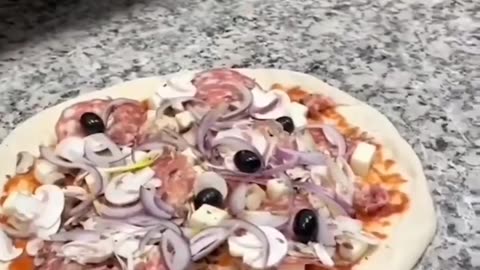 funnyvideosdaily