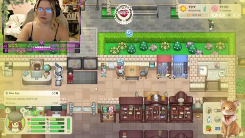 Chicken Live Stream