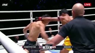 The craziest fight of the year? Watch the moment both fighters go down under blows