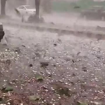 God is angry, go away, stop killing animals.