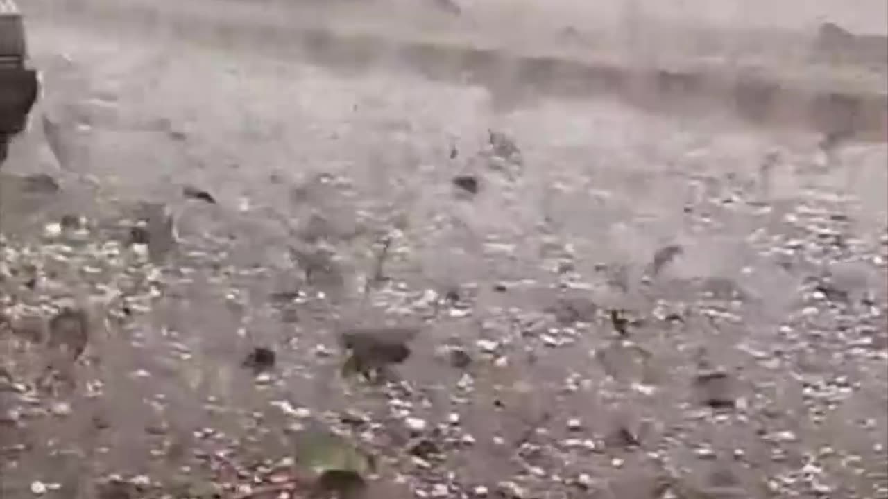 God is angry, go away, stop killing animals.