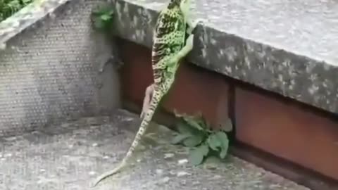 never, ever give up