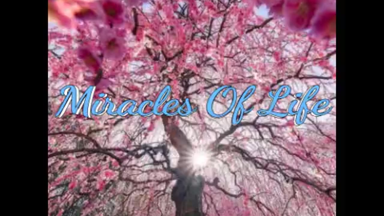 MD- Miracles Of Life