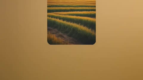 we have new intro music(farmerstephensim)