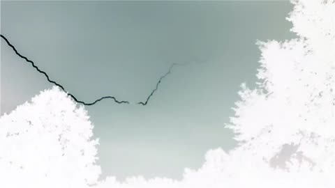 Negative light