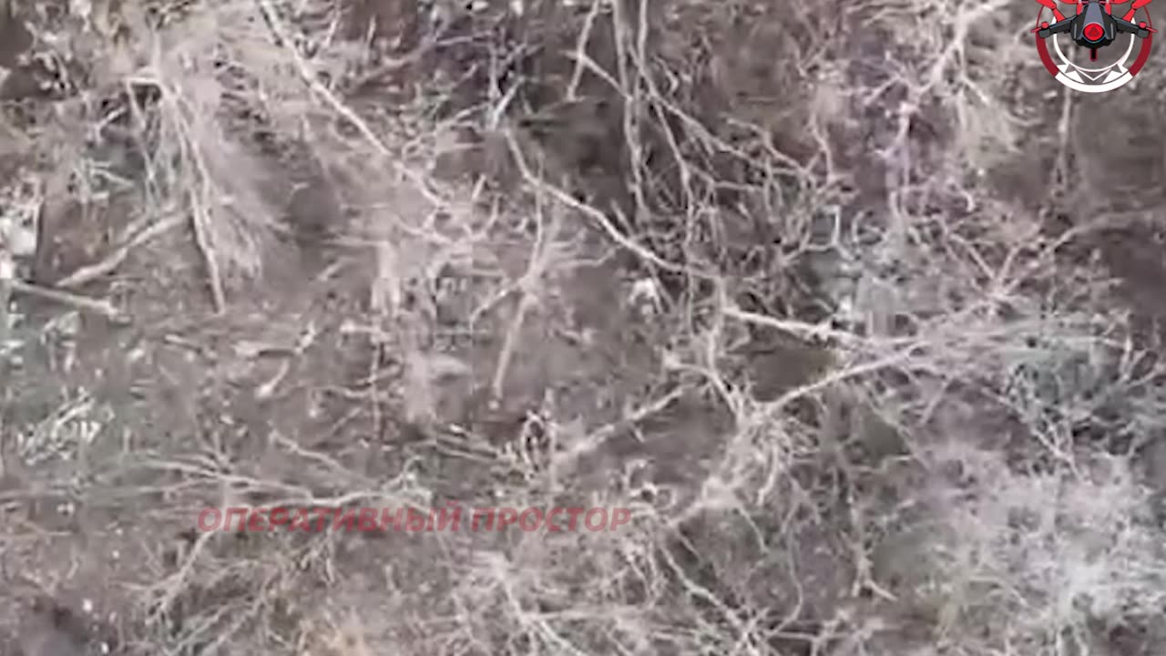 ボロバヤ方面ナジヤの戦い