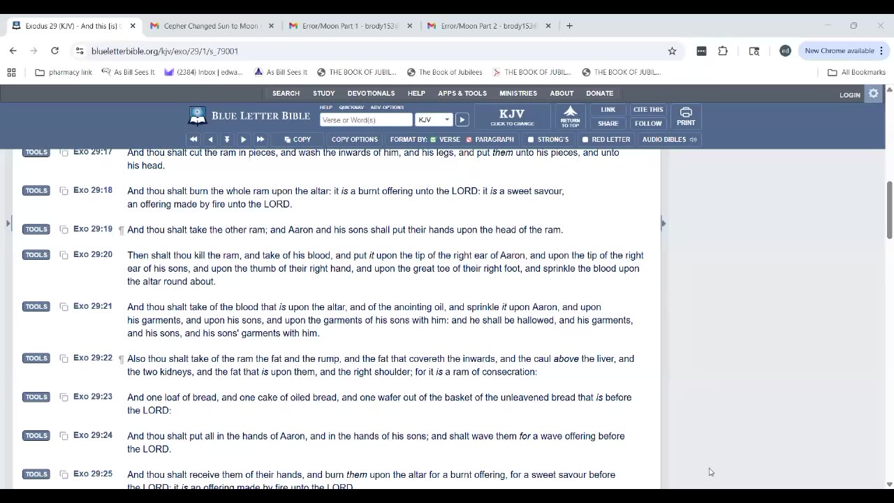 Yah's Misfits 8-16-2025