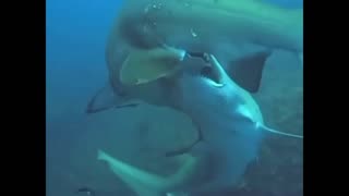 LOOK AT THIS! WTF!