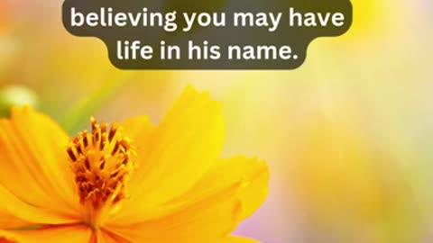 Journey of faith and spiritual growth John 20:31 Daily Bible Verse