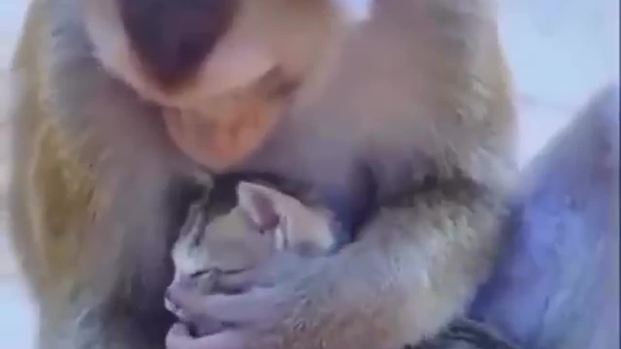 To love without condition