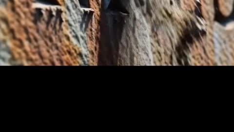 Job 19:24 — You Will Find Christ in Every Verse