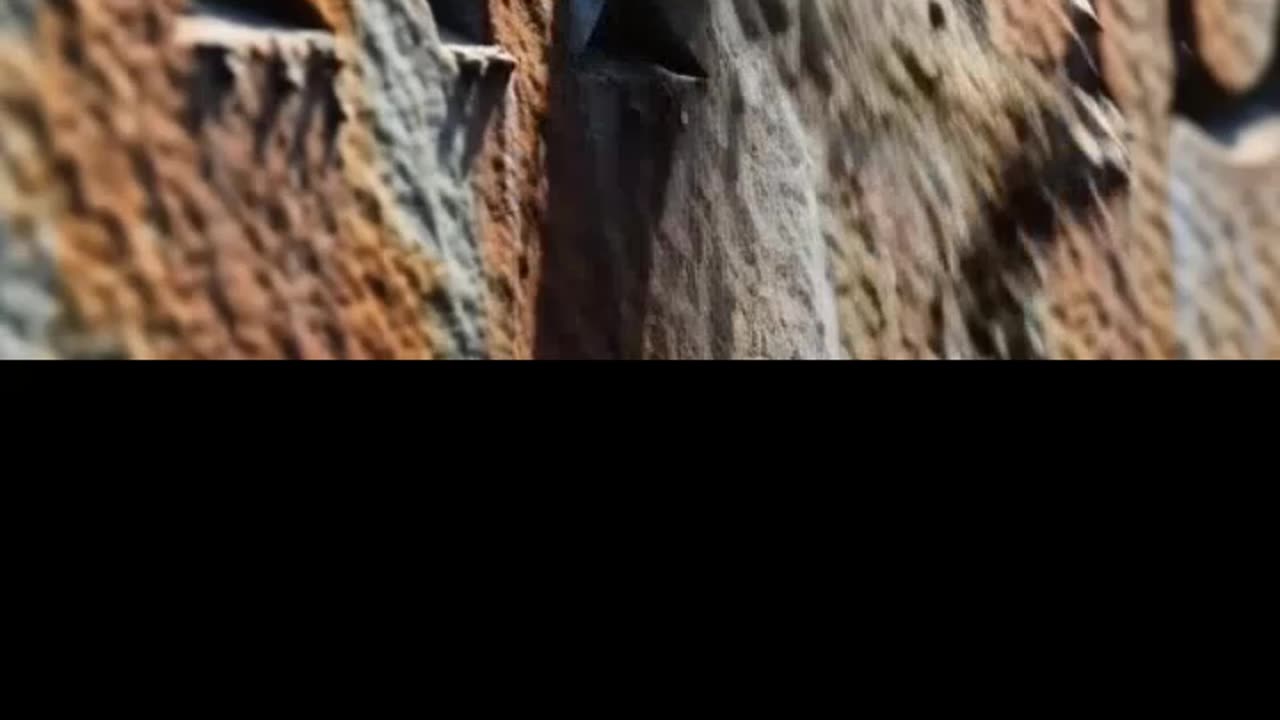 Job 19:24 — You Will Find Christ in Every Verse