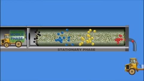 Chromatography. Animation