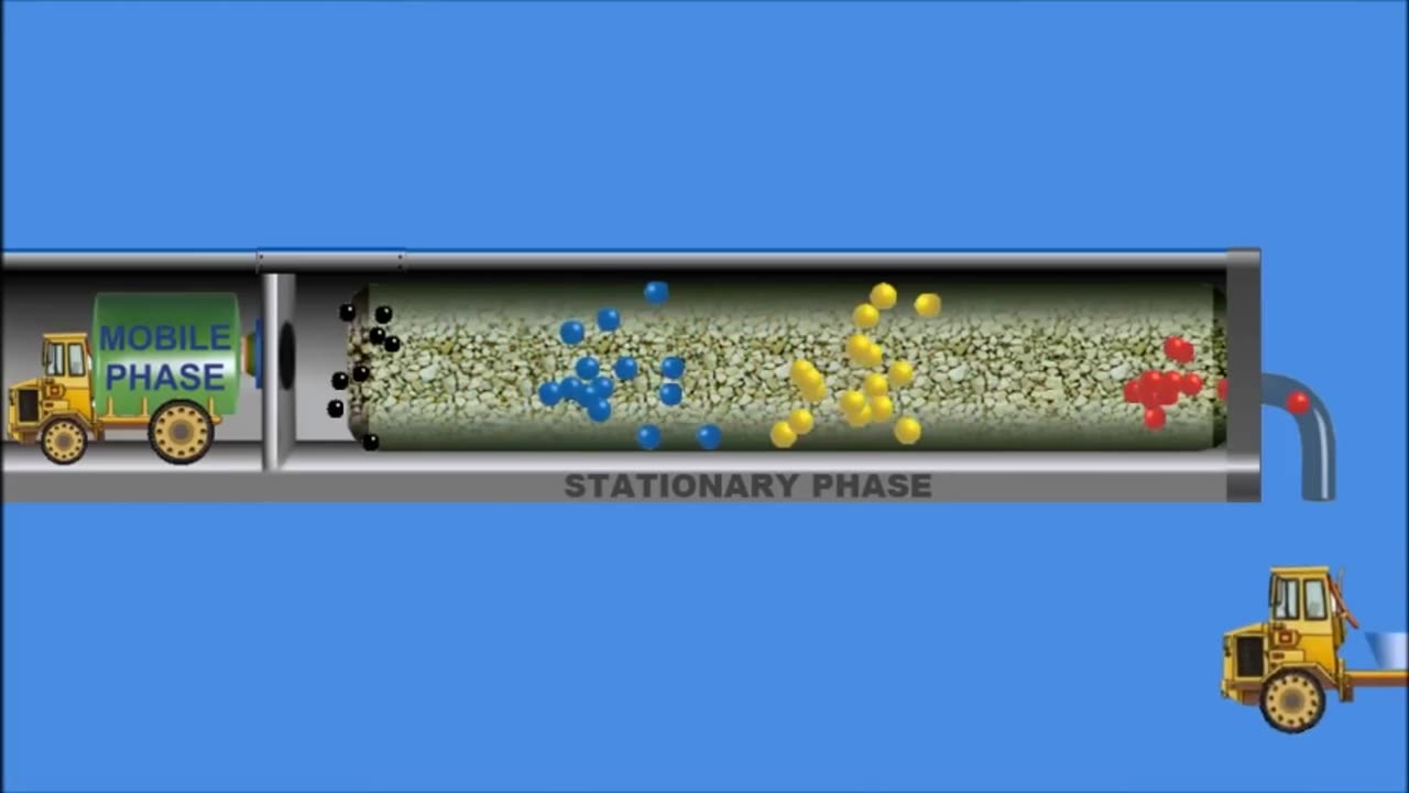 Chromatography. Animation