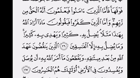 Surah Al Baqarah - Verse 25. #quran #quranrecitation #quranreading