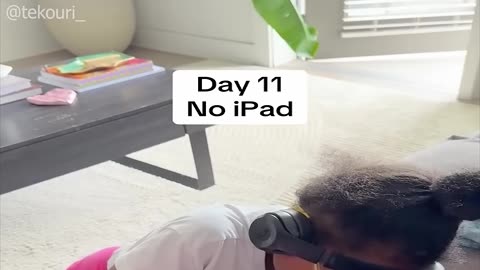 Try not to laugh ❗ 401 #funny