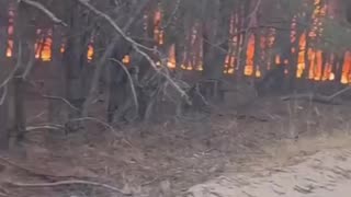 🔥 Not a day goes by without the total burning of the Russians. All property,
