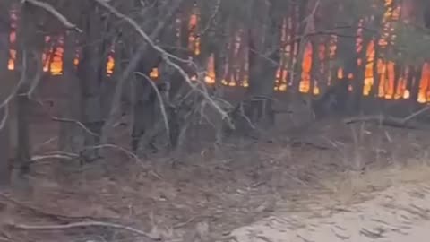🔥 Not a day goes by without the total burning of the Russians. All property,