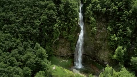 Aerial View of the Forest: Stunning Perspectives from Above