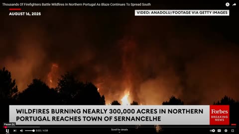 end times, portugal, wildfire