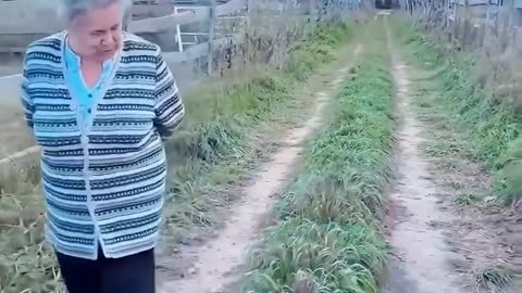 This video shows a family raising a bird from an egg they found.