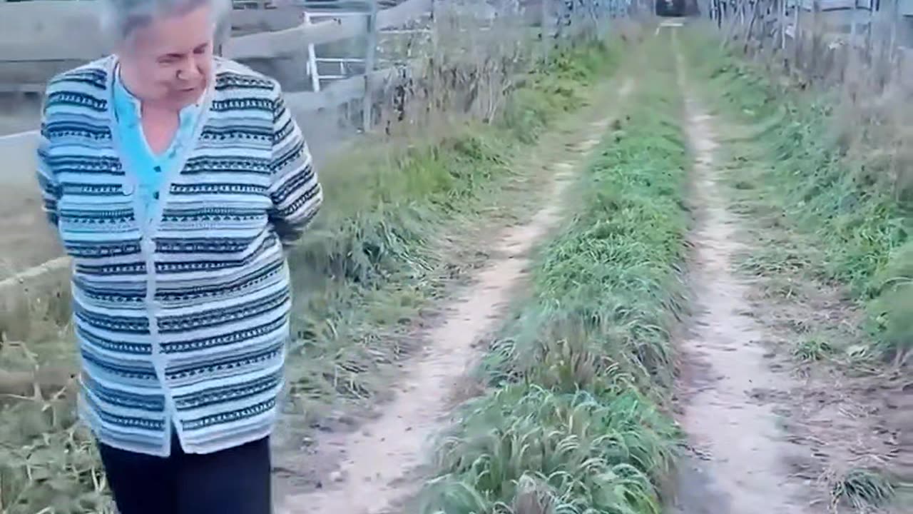 This video shows a family raising a bird from an egg they found.