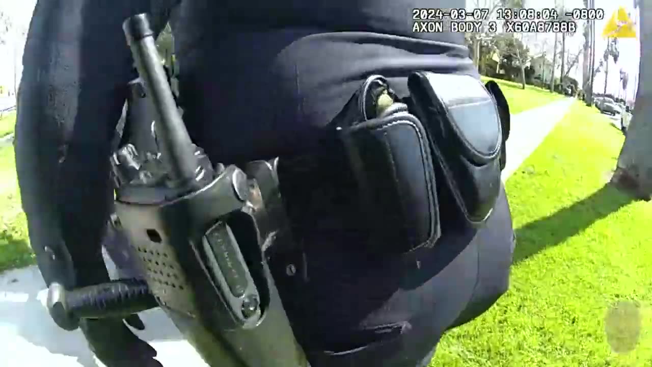 Moron Pulls a BB Gun on Police in Los Angeles