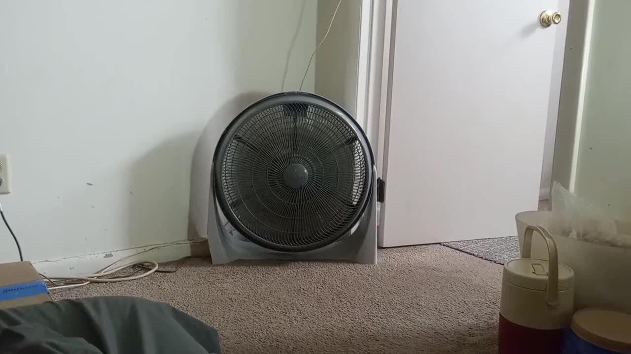 PLASTIC FAN ASMR
