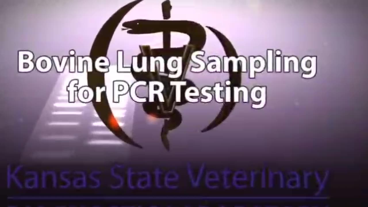 KNOW THYSELF HEAL THYSELF 🪄