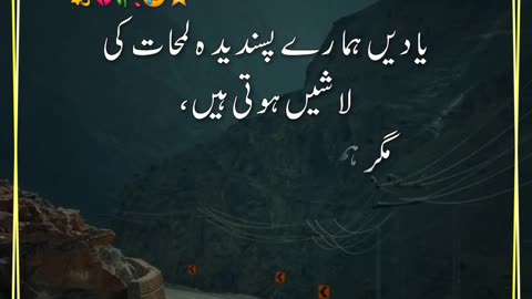 Yaadein | Urdu Quotes | Status Video | Awan Creations