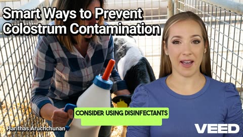 Smart Ways to Prevent Colostrum Contamination