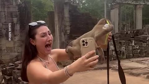 Cheeky Monkey Steals Woman's Drink 🐒😂